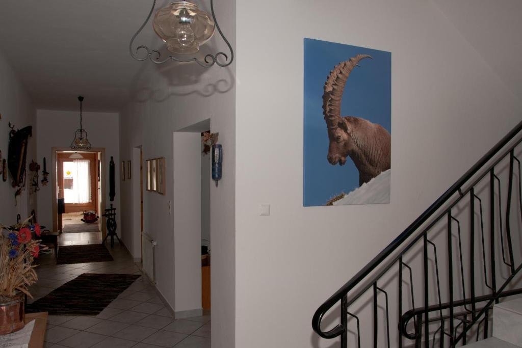 Appartements Schmalzerhof Gries im Sellrain Ngoại thất bức ảnh
